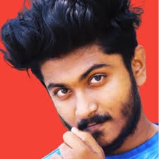 Play Hashir Bird game